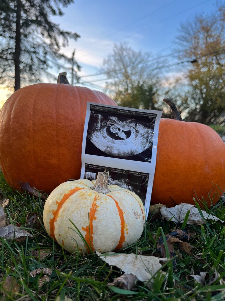 We announced Baby Ledger!