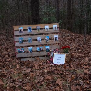 Gallery Photo 37