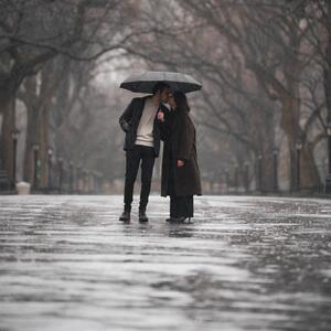 Gallery Photo 24
