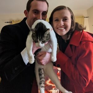 Gallery Photo 26