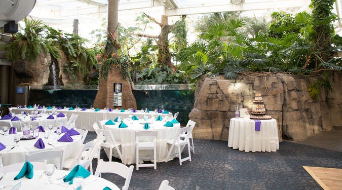 Weddings At The Pittsburgh Zoo WEDDING Jim + Nicole, Phipps