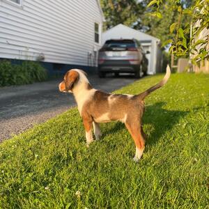 Gallery Photo 39