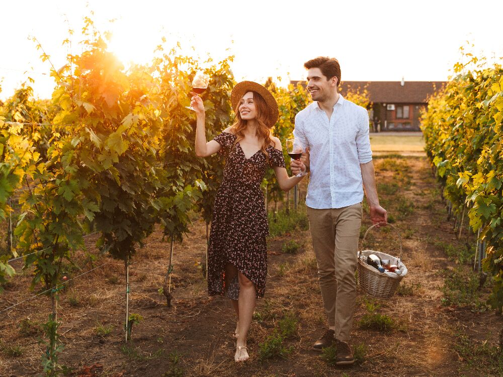 Couple drinking wine and walking through vineyard with picnic basket