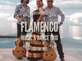 Spanish Guitar Duo/Trio | Flamenco Classical Latin - Flamenco Duo - Chicago, IL - Hero Gallery 2