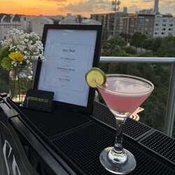 Spirito Bar Co, profile image