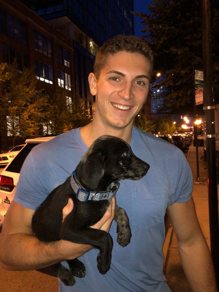 Why not get a puppy? 6 months after we started dating, Will brought home our dog, Astro. 