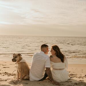 Gallery Photo 8