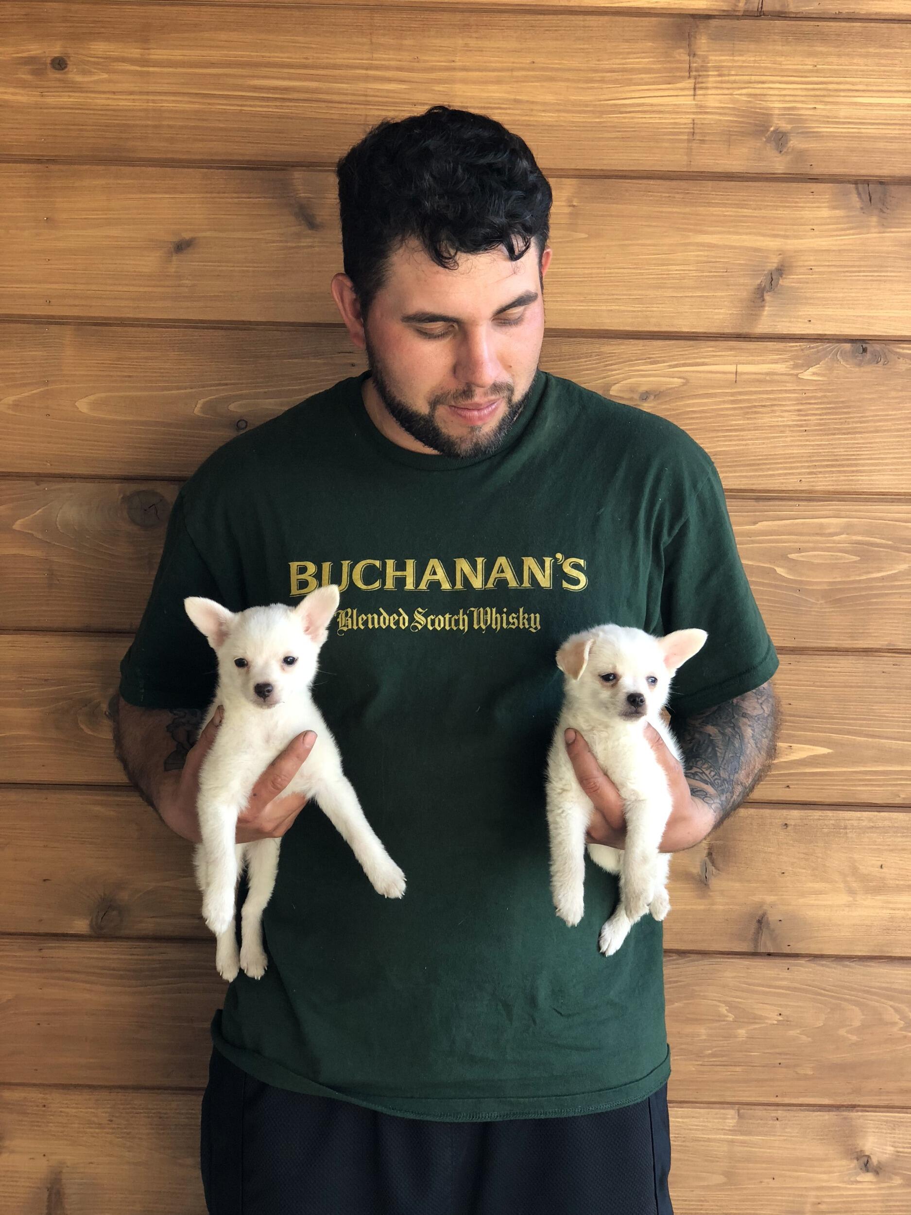 Our new babies. Pee Wee & Squirt. We got them in Compton.