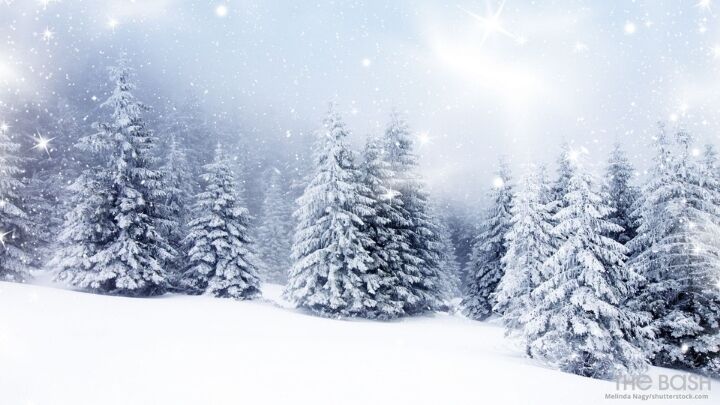 Christmas Tree Zoom Background