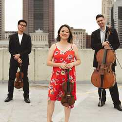 Cap City String Quartet, profile image