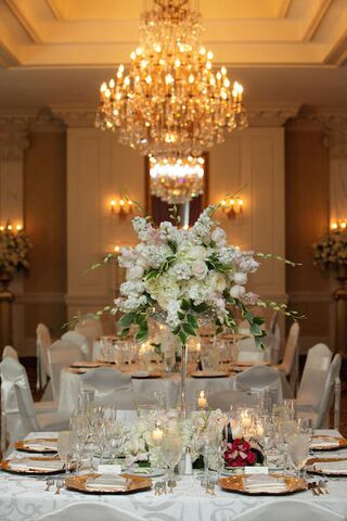 The Seelbach Hilton Louisville | Reception Venues - Louisville, KY