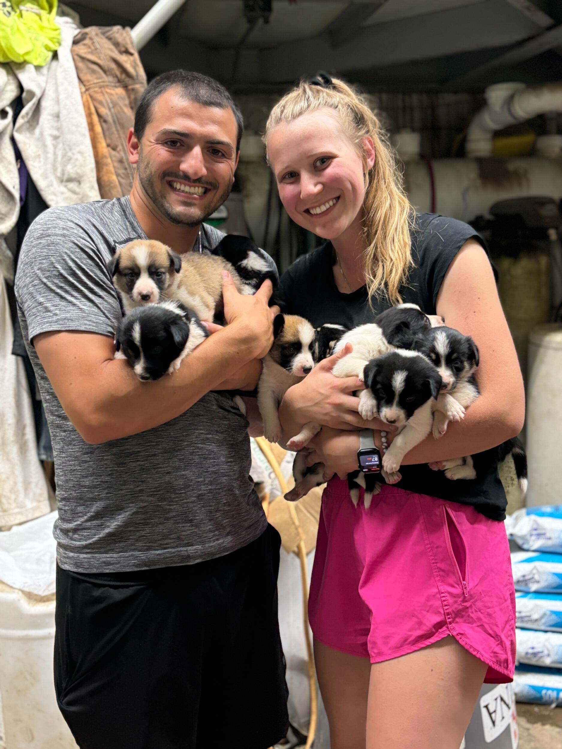 Puppies on the Farm!