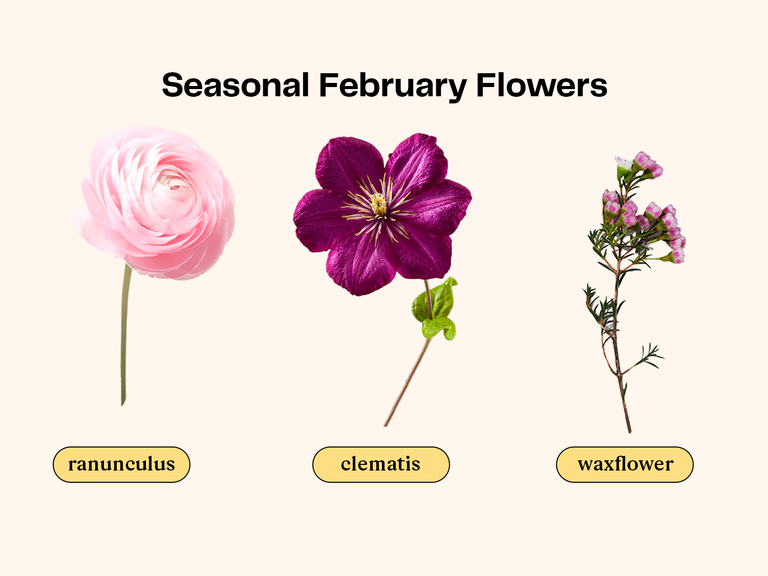 Collage of flowers that are in season for a February wedding. 