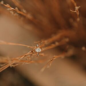 Gallery Photo 9