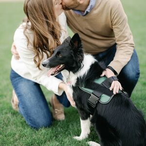 Gallery Photo 32