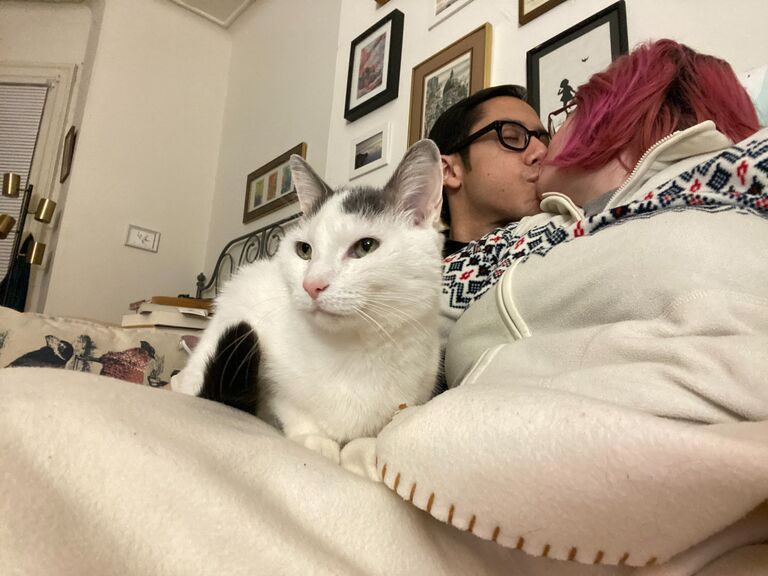 Turnip finally approves of Josh.