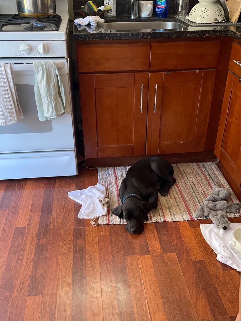 Waiting for dish washing time