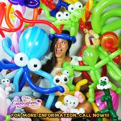 Kiddy's Kingdom/Celebrations Tampa, FL, profile image