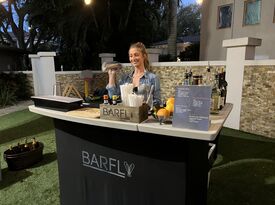 Barfly Productions - Bartender - Saint Petersburg, FL - Hero Gallery 1