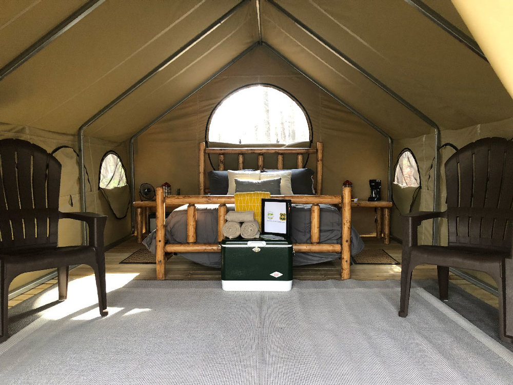 The Best Sites for Glamping in Asheville