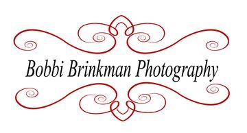 Bobbi Brinkman Photography - Photographer - Saint Louis, MO - Hero Main