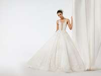 model wearing beaded ball gown with baby's breath flower crown in updo