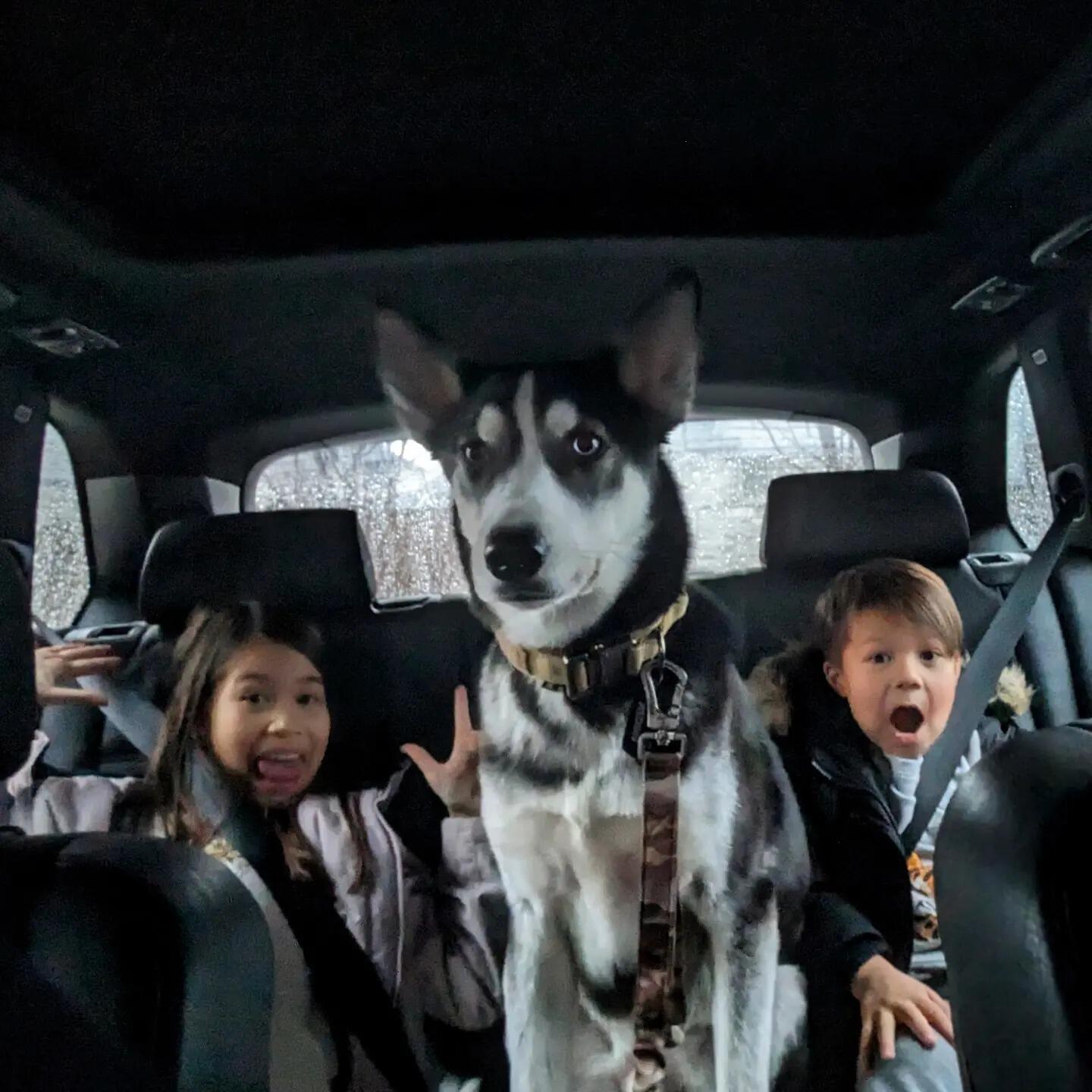 ADOPTED Merlin!!
Happy First Birthday (Feb 9th, 2023)