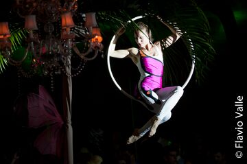 Tampa - Cirque And Circus Events - Circus Performer - Tampa, FL - Hero Main