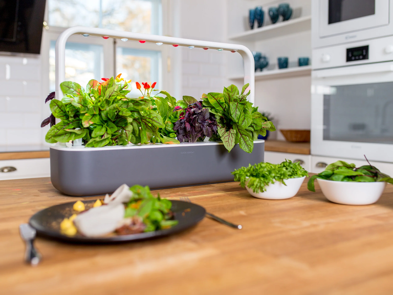 Indoor Smart Garden