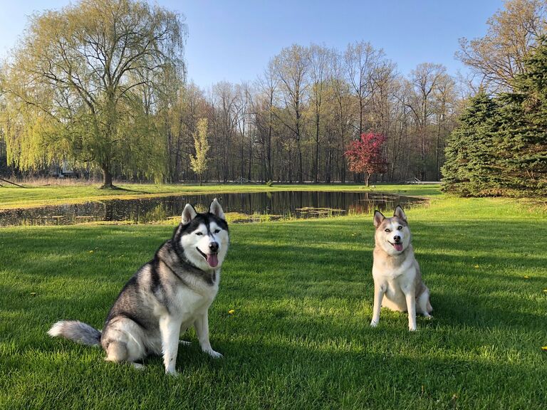 And their new yard/pond!