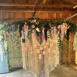 Gallery Photo 6
