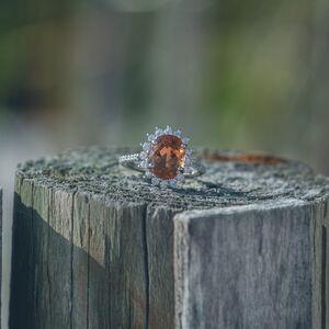 Gallery Photo 22