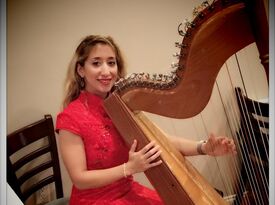 Julie Crystal - Music for All Occasions - Harpist - Danville, PA - Hero Gallery 3