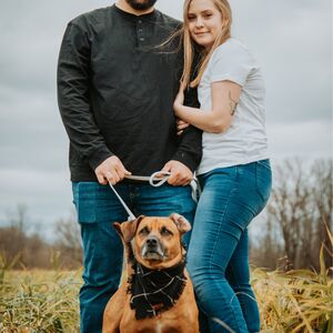Gallery Photo 17