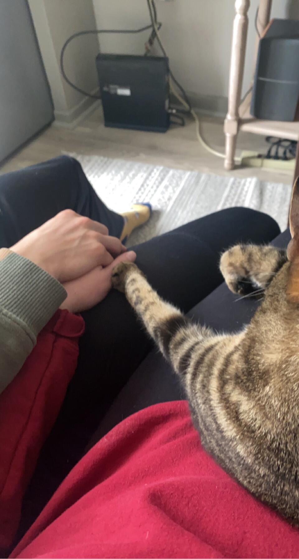 Caleb's old apartment in Oak Ridge.