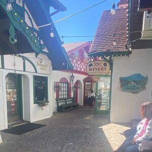 Gallery Photo 1