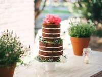 two tier chocolate naked wedding cake with bright pink peonies on top