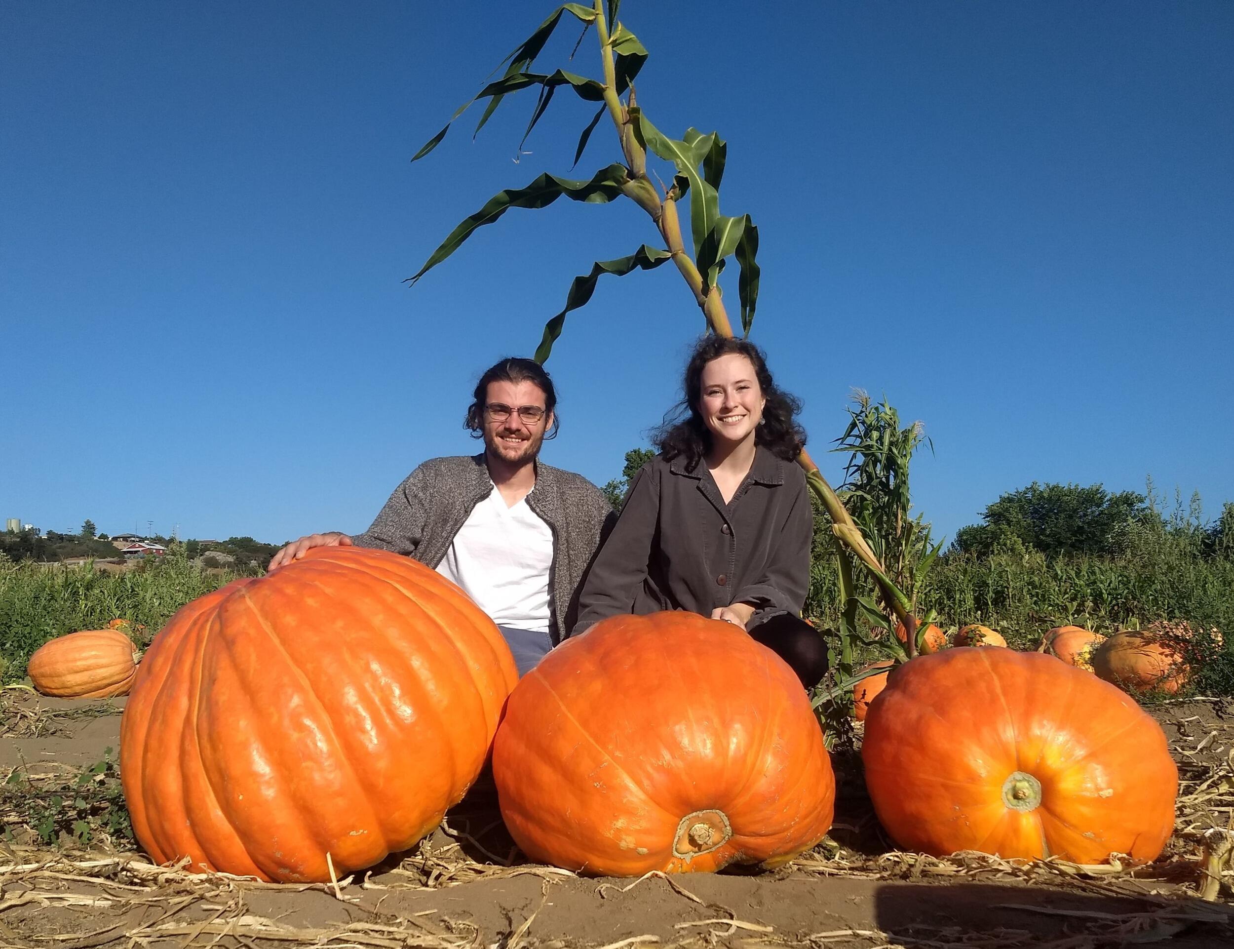 Rosie's first time to Bates Nut Farm. We did not buy these giant pumpkins, but they were fun to take pictures with!