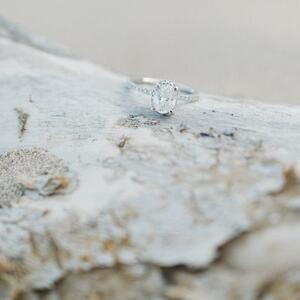 Gallery Photo 31