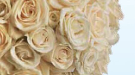 Hoover Florist  Florists - The Knot