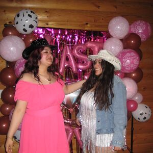Gallery Photo 42