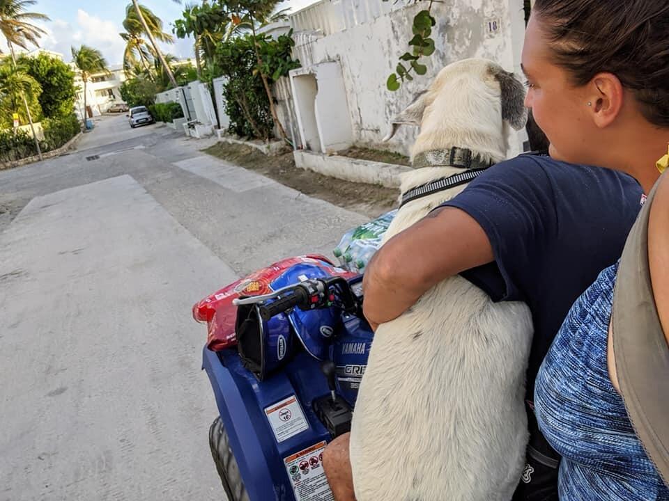 The Move to St. Martin! Taco coming on board our travels! 