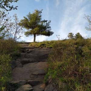Gallery Photo 18