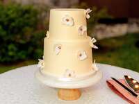 Yellow bridal shower cake, best bridal shower cakes 2023. 