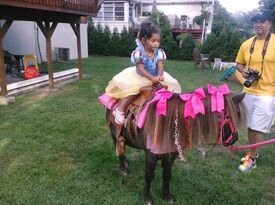 pony rides llc - Pony Rides - Shelton, CT - Hero Gallery 2
