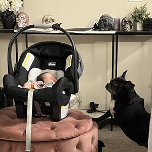 Gallery Photo 56