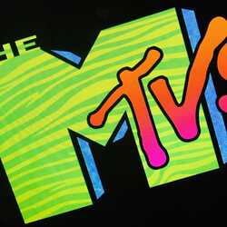 The MTV's, profile image