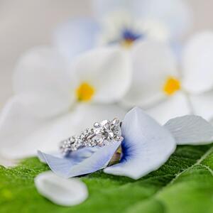 Gallery Photo 155