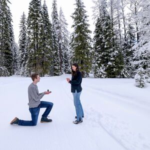 Gallery Photo 7