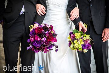 Studio 539 Flowers Florists The Knot